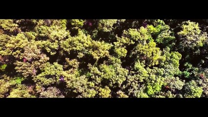 Jaskółka uwięziona - Cover. Atanas Valkov&Georgina Tarasiuk. Legendy Polskie