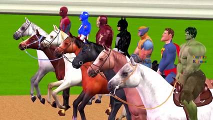 Spiderman and Ironman Cartoons & Batman And Hulk Horse Racing Videos For Children