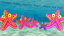 HD Sea Star Finger Family Song Daddy Finger Nursery Rhymes Full animated cartoon english 2016