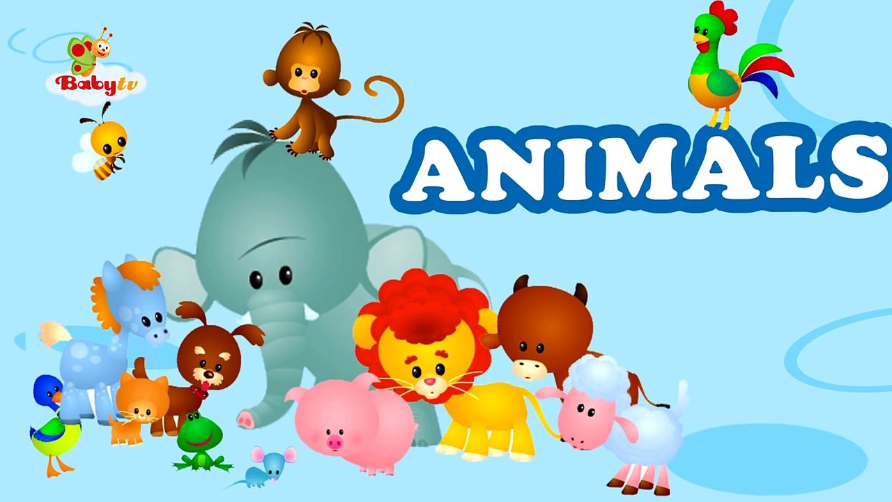 Penguin - Learning Animal Sounds and Names for Kids & Toddlers | BabyTV