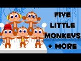 Five little monkey | Incy wincy spider | Baa baa black sheep | nursery rhymes