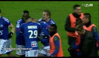 All Goals & Highlights HD -Strasbourg 3-0 Niort - 16-12-2016