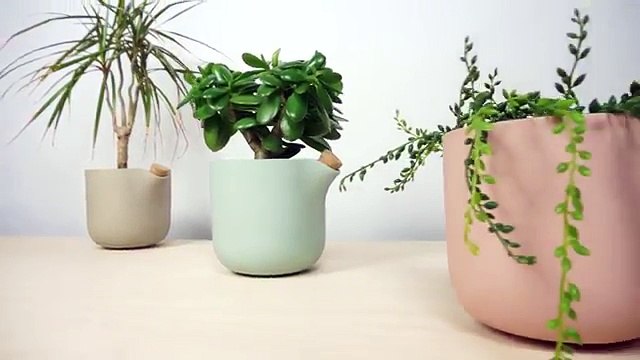 Un pot de fleurs magique qui vous fait savoir lorsque votre plante a besoin d'eau ! (
