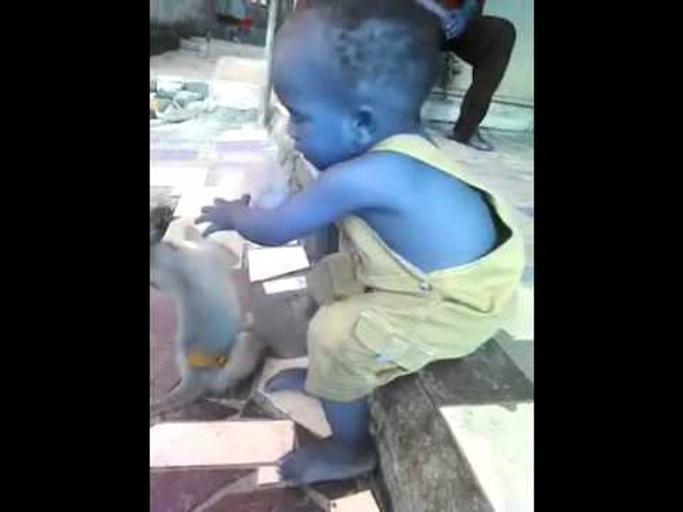 Il lutte le biberon avec le singe