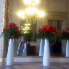 Jacques Salomon [sd]