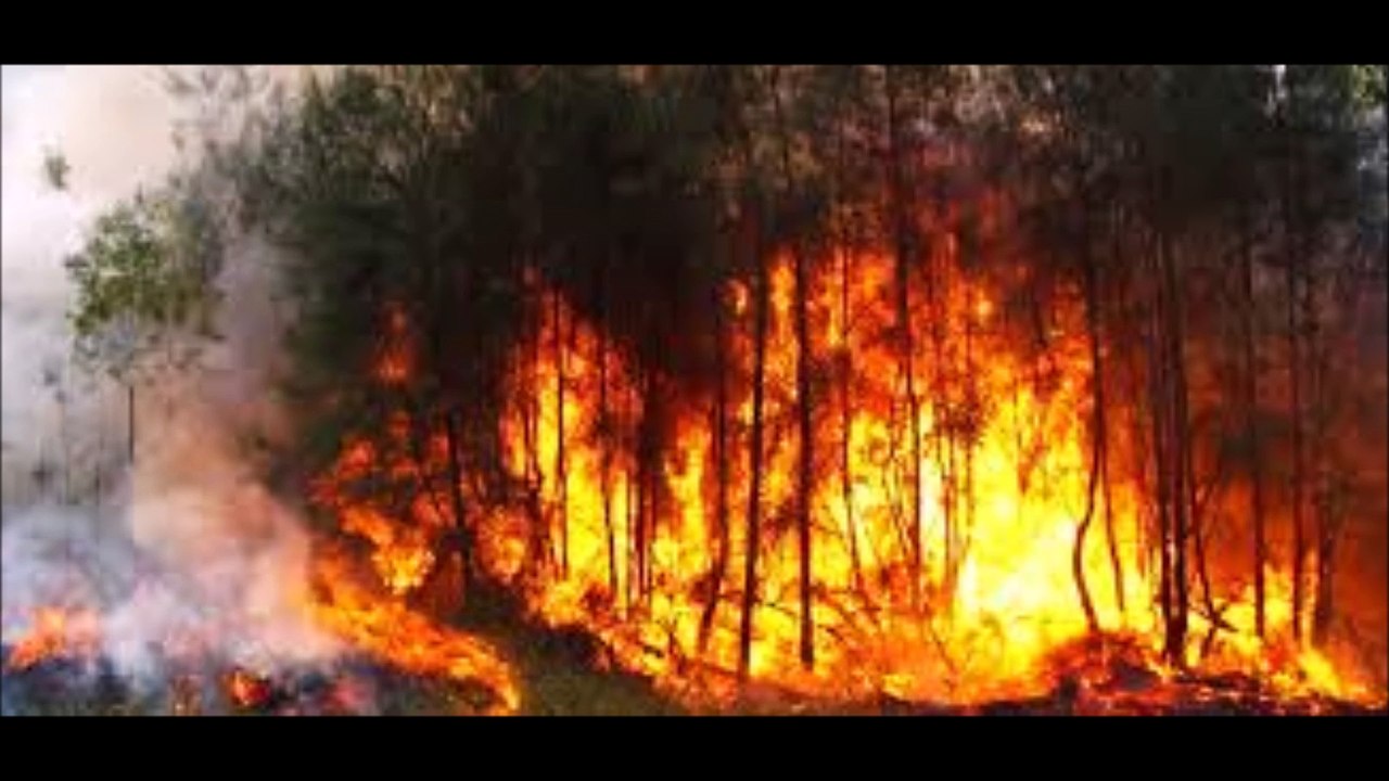 MANIPULACION CLIMATICA, CIENTIFICO INVESTIGA SOBRE LOS CAMBIOS CLIMATICOS