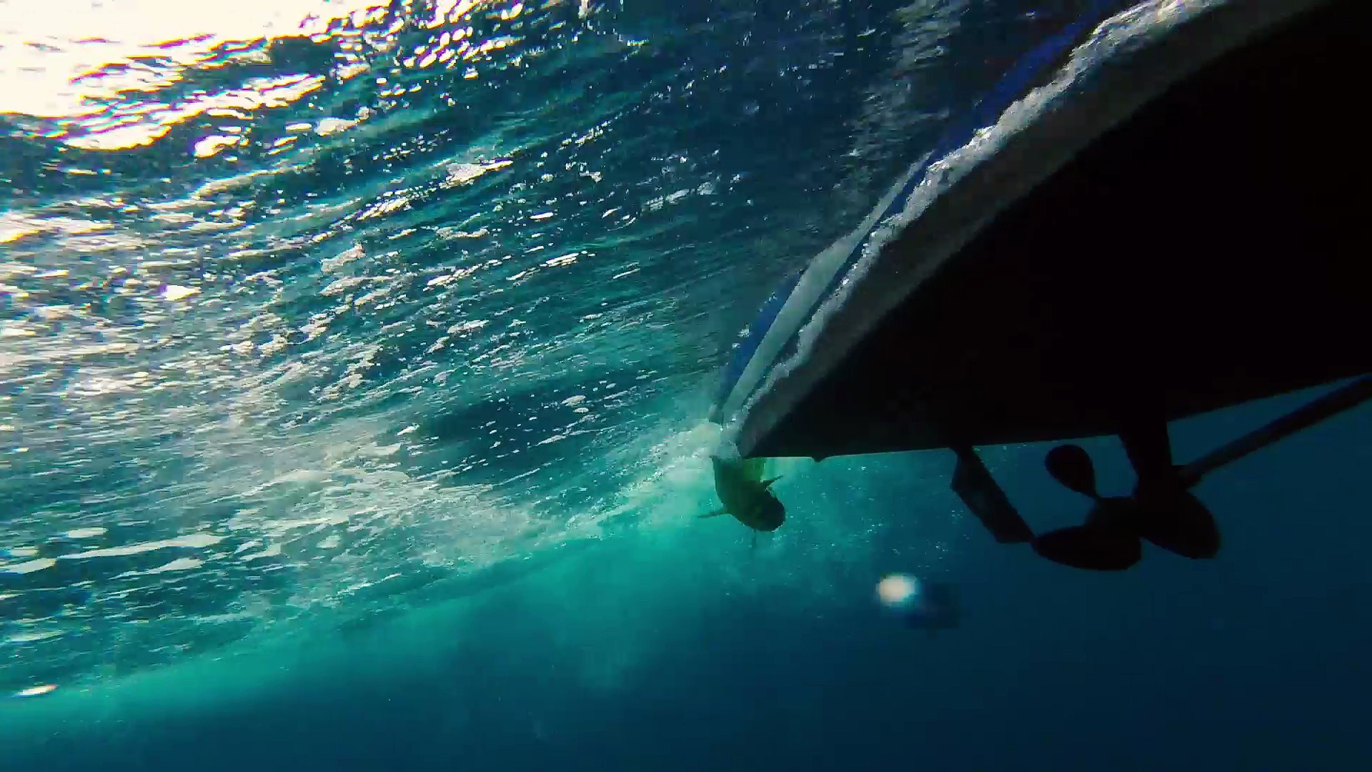 Panama Offshore Fishing