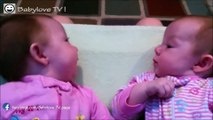 Funny Babies Talking to Each Other Compilation 2016 - Funny Baby Videos