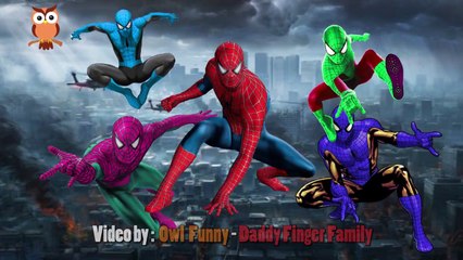 Spider man Daddy Finger - Fun Finger Family Collection - spider man real life