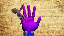 3d Animals rhymes | Dragon finger family English Rhyme | Kids 3d rhymes