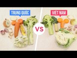 KHÁC BIỆT - Phân Biệt Hàng Trung Quốc Và Hàng Việt Nam