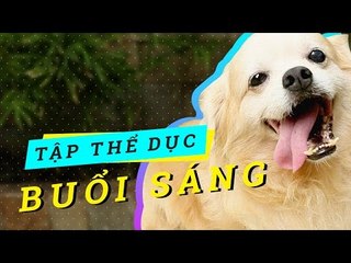 Tập Thể Dục Buổi Sáng Cùng Cún Cưng