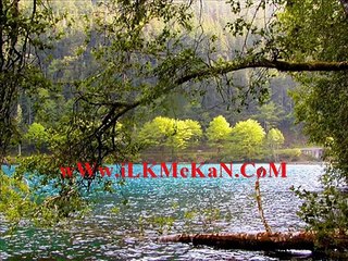 SesliCankız.Com - EnGüzel ŞiirLer Sesli Sohbet Sesli Chat Sesli Siteler