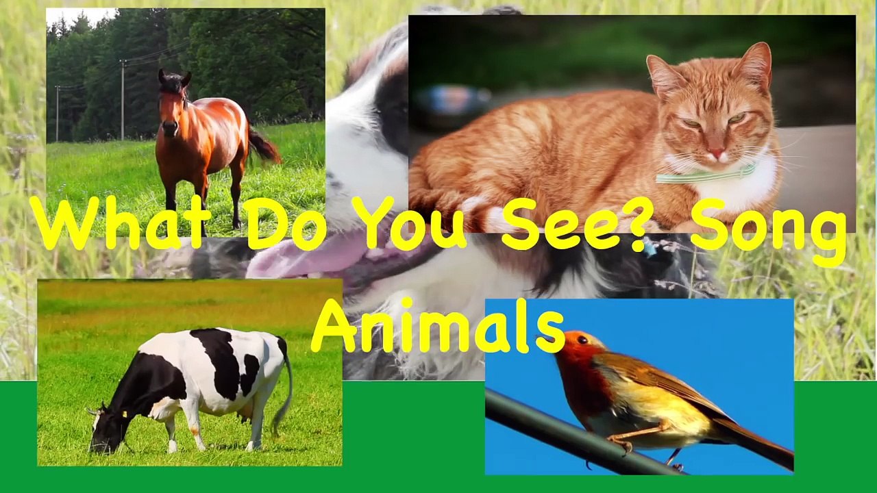 What Do You See? Song | Animals and Sounds | Learn English Kids