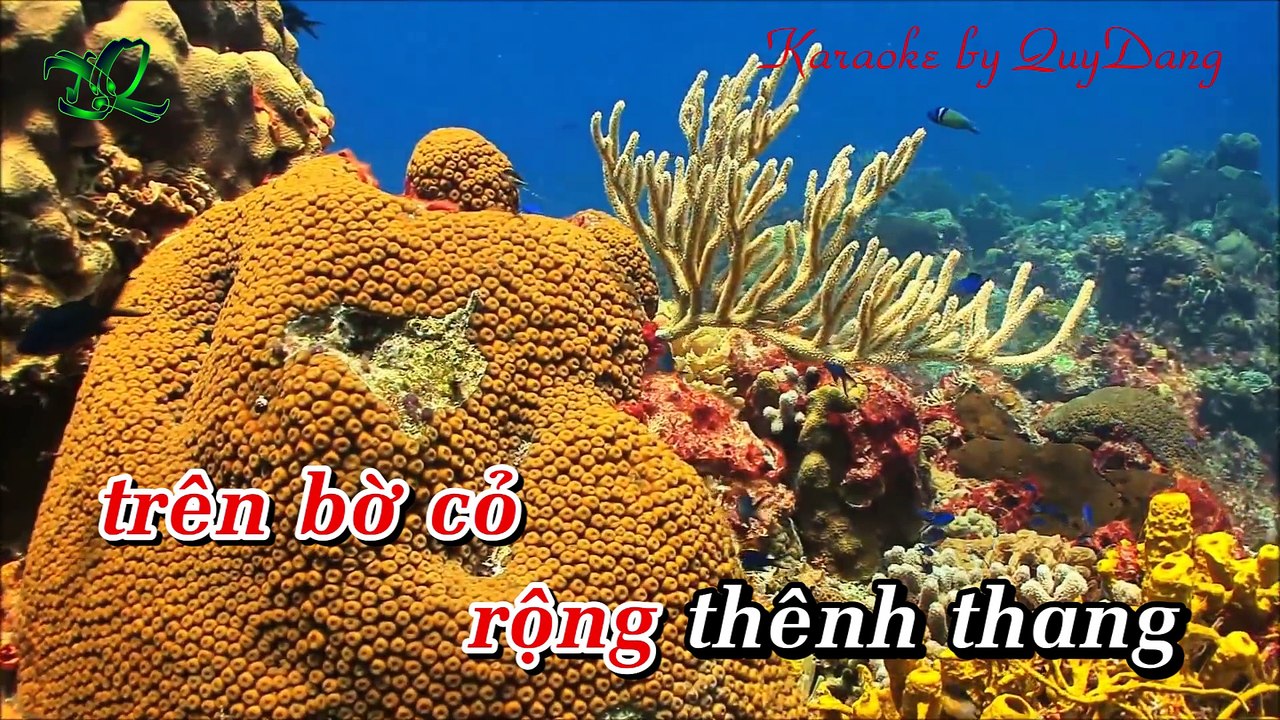 Hoài Thu | Hạ Vy | Karaoke Beat HD