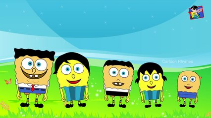 Sponge Bob Family Finger Cartoon | Nursery Rhymes for Children | Cartoon Finger Family Collection