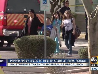 Pepper spray leads to chaos at Avondale school