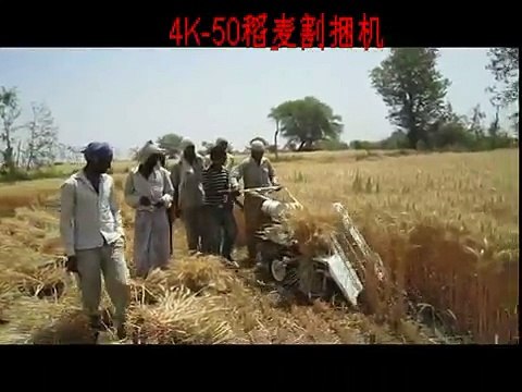 4k50 Rice reaper binder, Small rice harvesting machine, Mini paddy reaper binder, reaper binder equipment