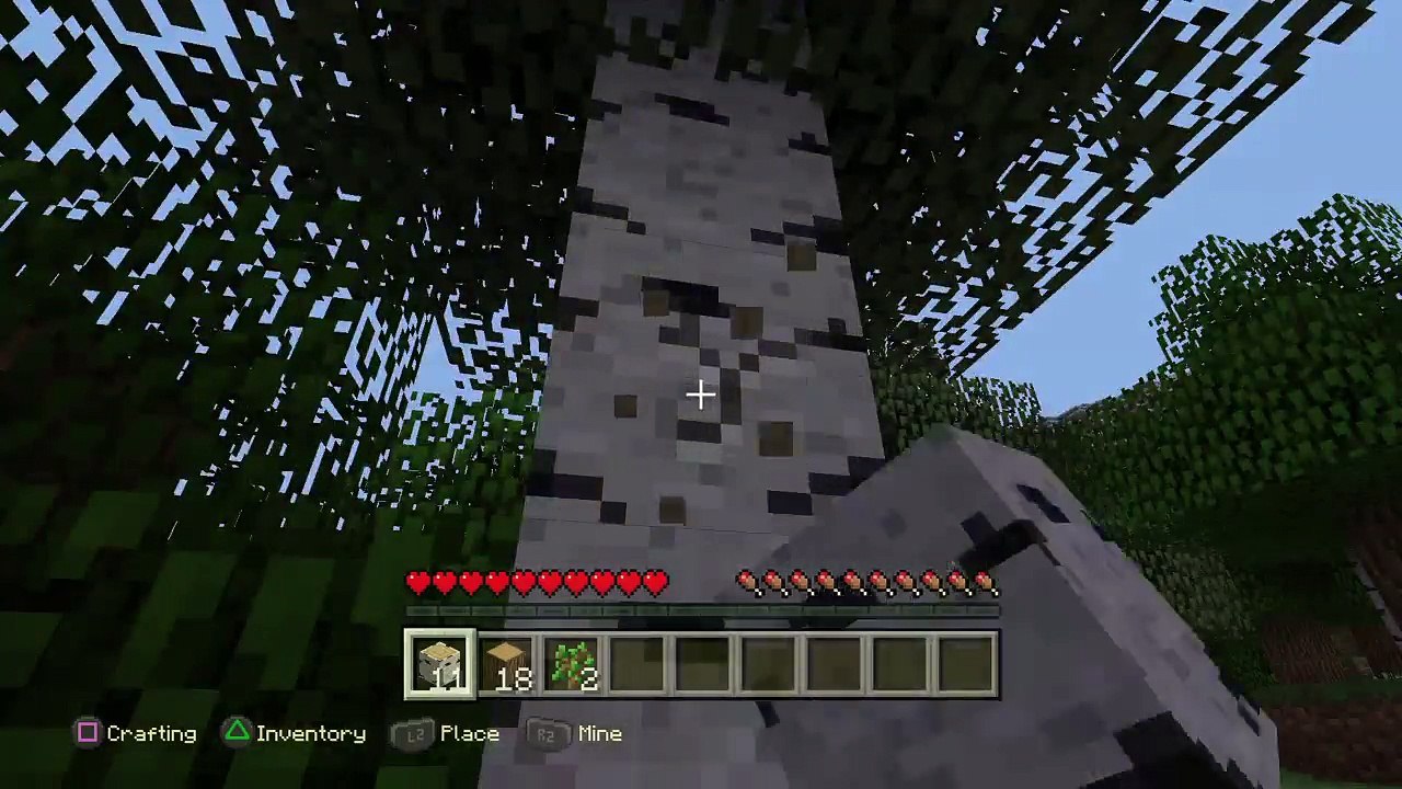 Minecraft (5)