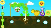 Learn the Plant Growth Cycle | Magical Seeds by BabyBus