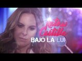 Aceptó o no Kate del Castillo postulación al Estado de México?