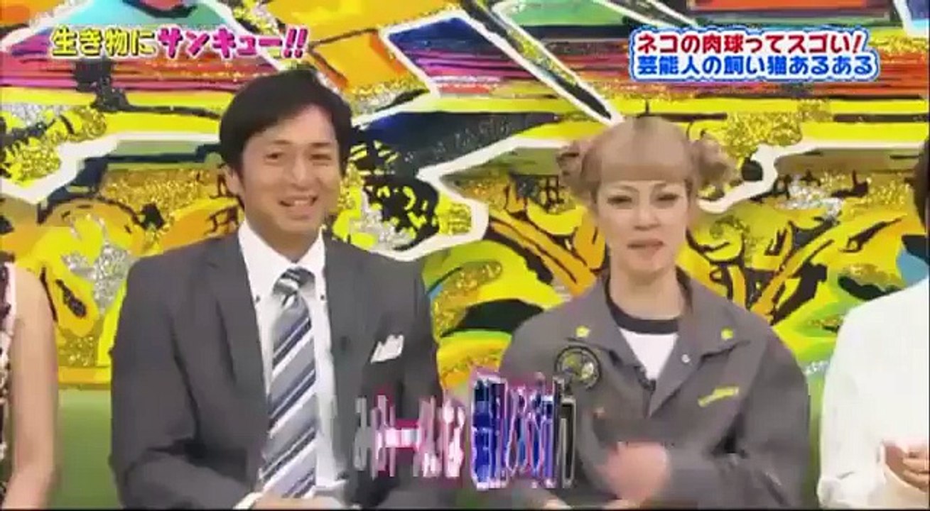 生き物にサンキュー! トコトン掘り下げ隊!! 不思議な行動だらけのネコを肉球から掘り 2016...