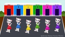 Talking Angela Colors For Children To Learn - Learning Colours for Kids with Talking Angela