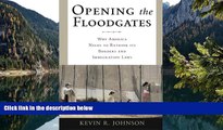 Read Online Kevin R. Johnson Opening the Floodgates: Why America Needs to Rethink its Borders and