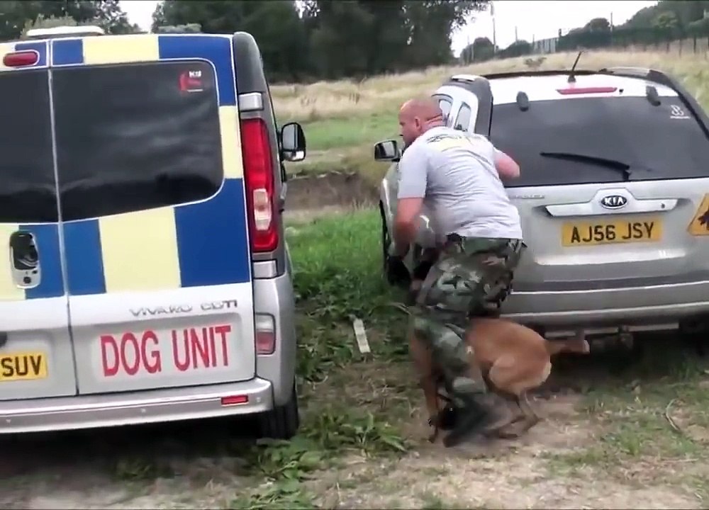 Protection_Dog_Training