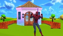 Spiderman Cartoon Singing Itsy Bitsy Spider Children Nursery Rhymes For Kids And Babies