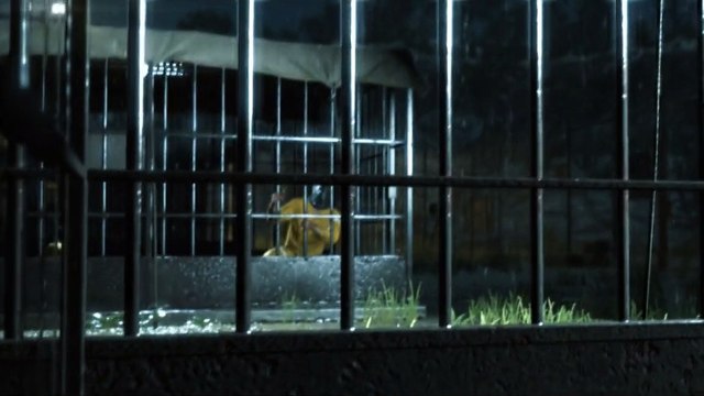 Metal Gear Solid V : Ground Zeroes - Modding : Big Boss remplacé par Hideo Kojima Gamekult 4,082 views