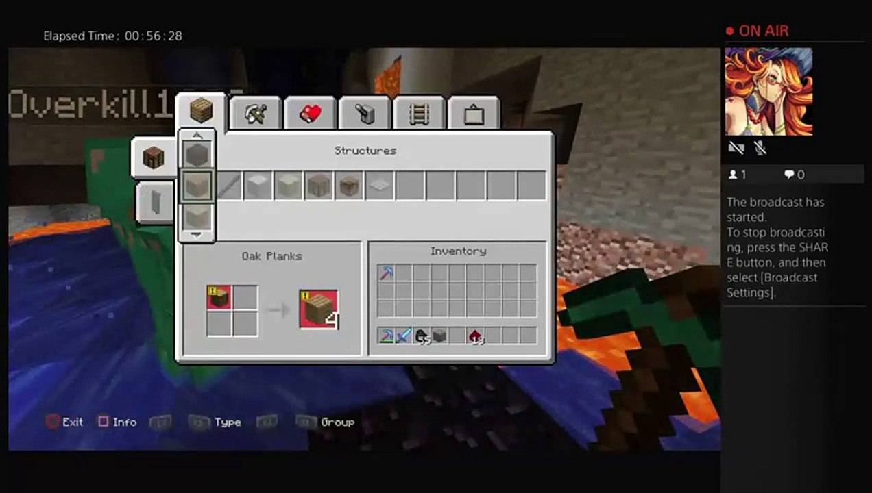 Minecraft (7)
