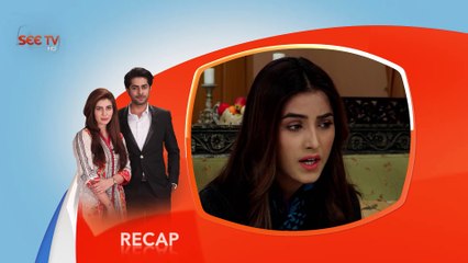 Apnay - Episode#49 - Complete - 16 Dec,2016 - SEE TV