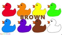 Learn Colors with Ducks Coloring Pages for Kids & Children (9) Educational Video to Watch & Learn