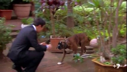 Home and Away 6576 - 6577 15th December 2016 [Full Episode]