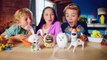 Best 5 of The Secret Life od Pets Sekretne Życie Zwierzaków Domowych TV Toys Full HD Ad 2016