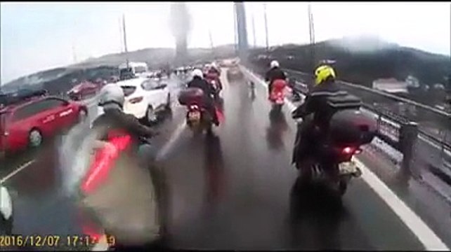 Un groupe de motards escorte un chien égaré sur l'autoroute !