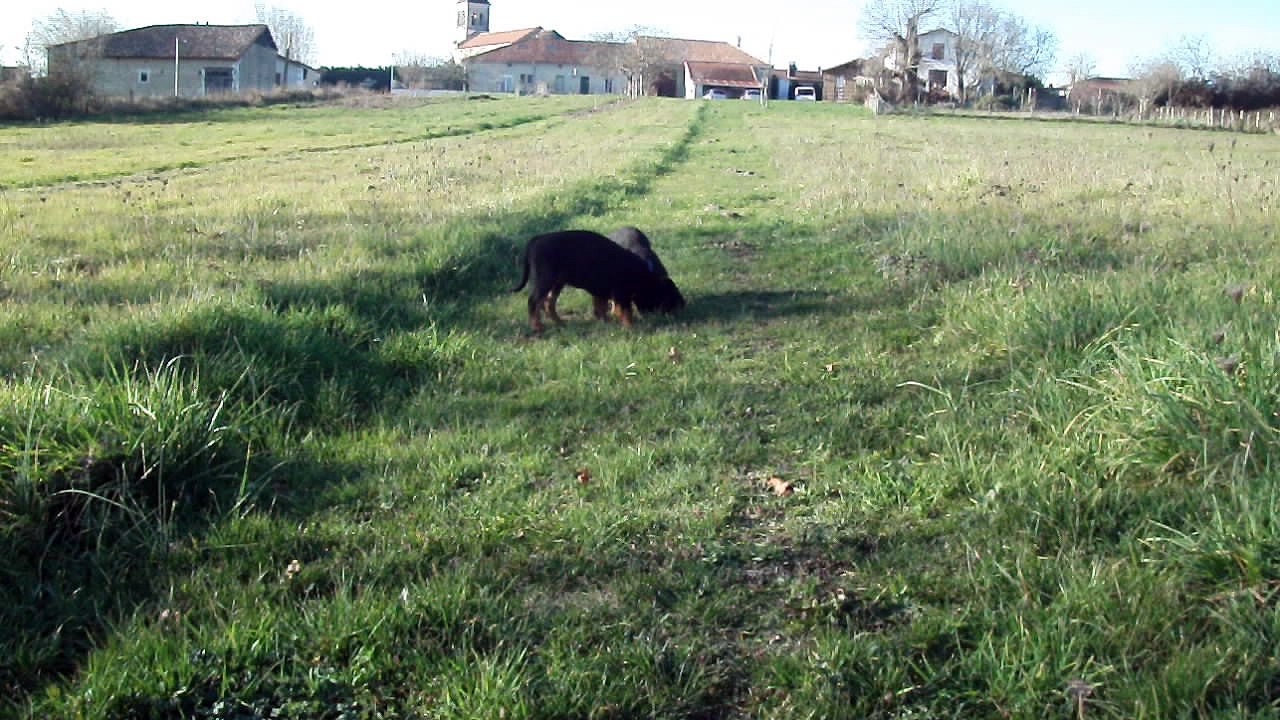 DSCF3876
