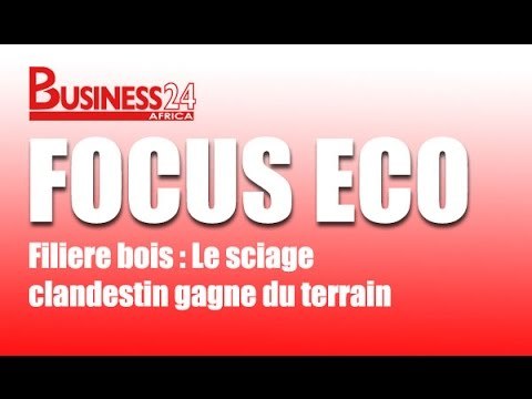 Focus Eco / Filière bois : Le sciage clandestin gagne du terrain