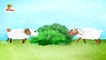Play Hide and Seek with Oliver | BabyTV