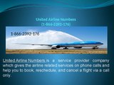 United Airlines Customer Service Number | 1-866-2392-176