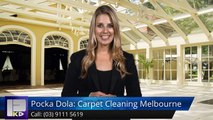 Pocka Dola: Carpet Cleaning Melbourne Wheelers Hill AmazingFive Star Review by Simon H.