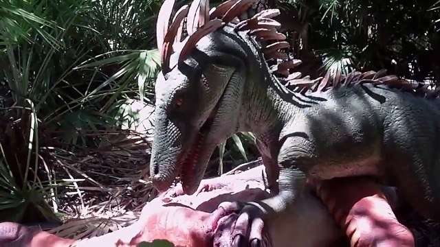 Free Stock Footage Spiky Headed Dinosaur Eats Dinosaur