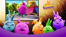 Cartoon ★ Sunny Bunnies - Special Compilation 110-119 ★ Cartoons for Children