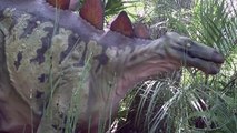 Free Stock Footage Stegosaurus in Bushes 2