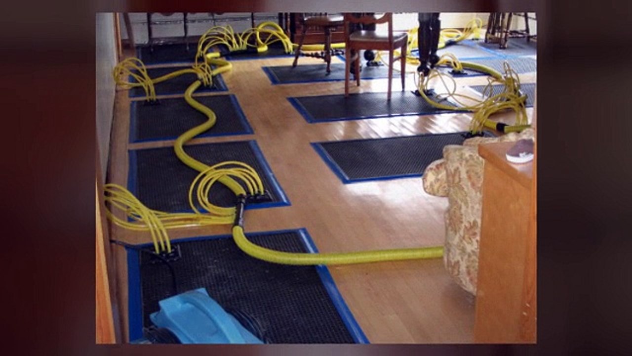 Empire Water Damage