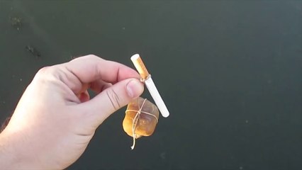 How to Take Revenge on Cigarettes