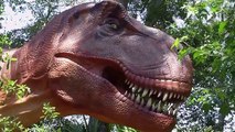 Free Stock Footage T Rex Close Up
