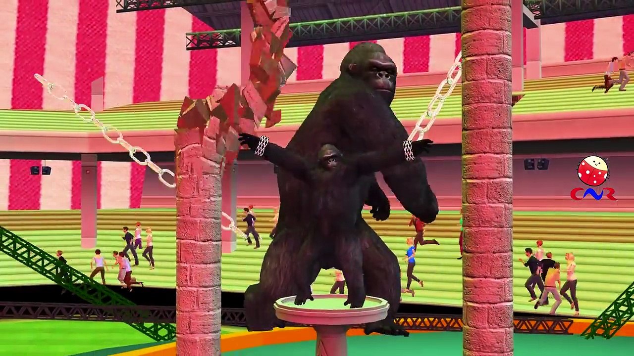 Colors Dinosaurs Tiger Finger Family Mega Collection | Gorilla Animals Finger Family Nursery Rhymes