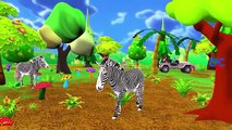 Zoo Animals Sounds For Children To Learn | Tiger Cheetah Lion Giraffe Animals Sounds For Kids